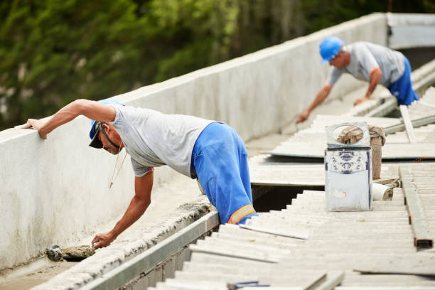 Best Attic Insulation Installation  in Benld, IL