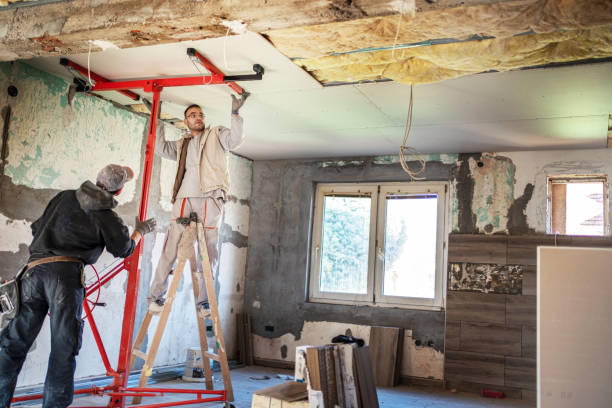 Best Insulation Inspection Services  in Benld, IL