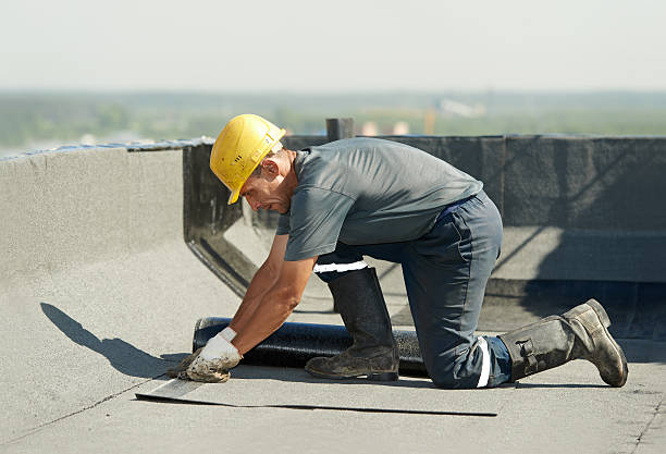 Best Insulation Contractors for Homes  in Benld, IL