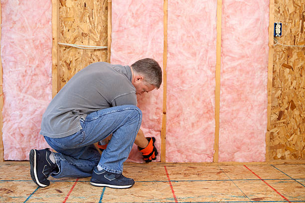Best Energy-efficient Insulation  in Benld, IL
