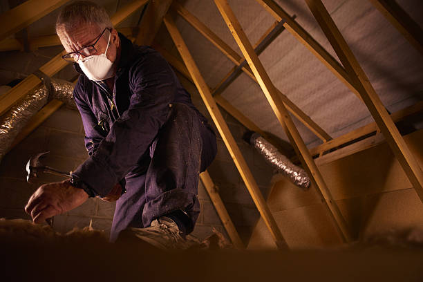 Best Insulation Replacement Services  in Benld, IL