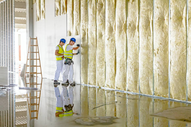 Best Crawl Space Insulation  in Benld, IL